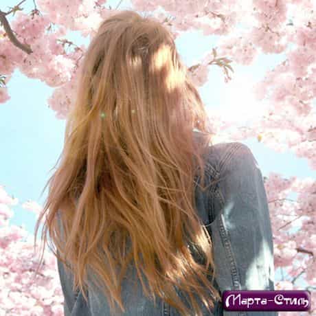 Красивые волосы к весне: как остановить выпадение?